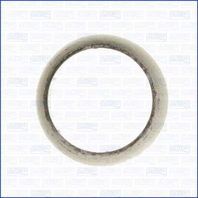 Gasket, exhaust pipe (01072900)