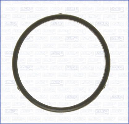 Seal, thermostat (00514900)