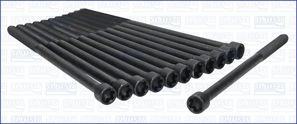 Cylinder Head Bolt Set (81037800)