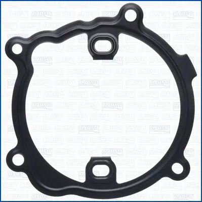 Gasket, water pump (01018700)