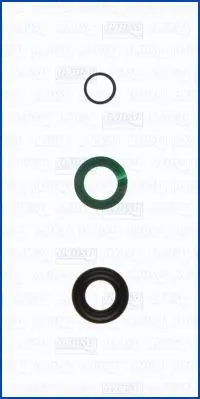 Seal Kit, injector nozzle (77008700)