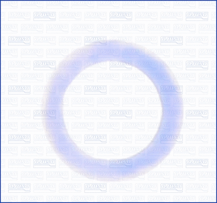 Seal Ring, oil drain plug (29000500)