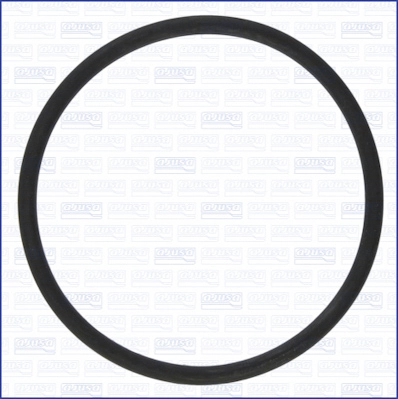 Gasket, vacuum pump (16113600)