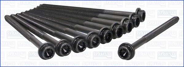 Cylinder Head Bolt Set (81025800)