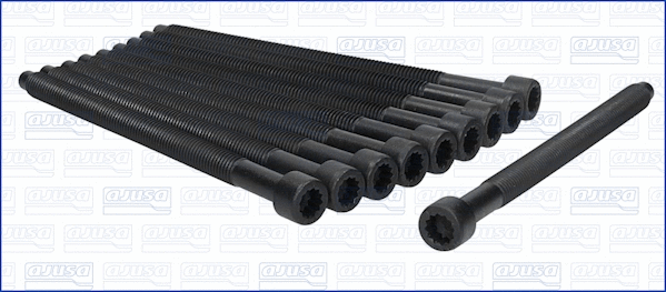 Cylinder Head Bolt Set (81026000)