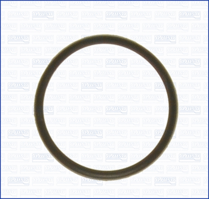 Seal, thermostat (01029000)
