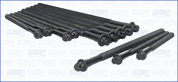 Cylinder Head Bolt Set (81029500)