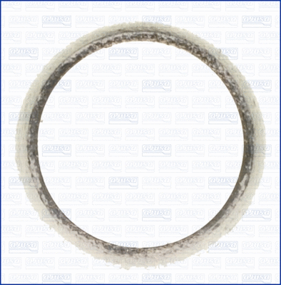 Gasket, exhaust pipe (00973700)