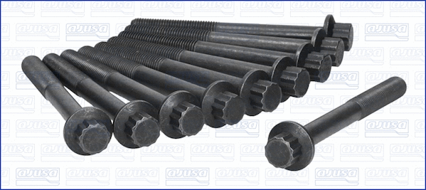 Cylinder Head Bolt Set (81002500)