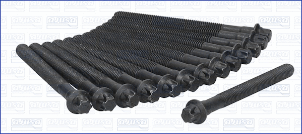 Cylinder Head Bolt Set (81027600)