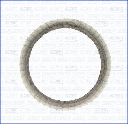 Gasket, exhaust pipe (00995300)