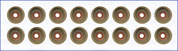 Seal Set, valve stem (57039000)