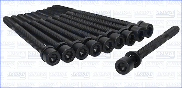 Cylinder Head Bolt Set (81003500)