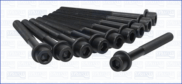 Cylinder Head Bolt Set (81031300)