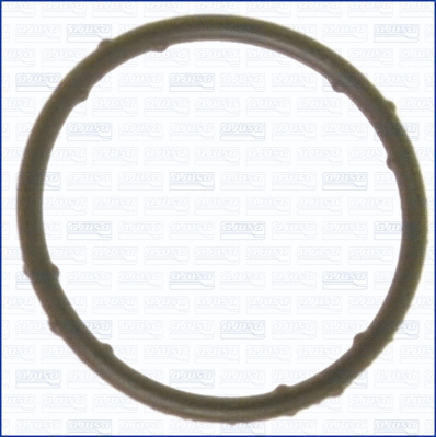 Gasket, coolant flange (01063400)