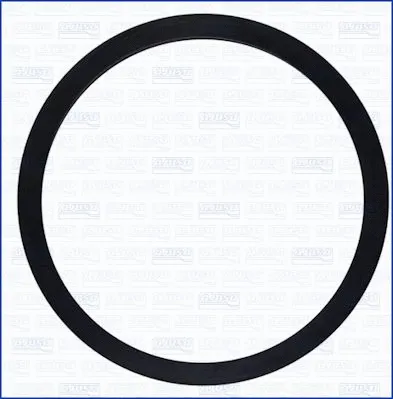 Seal, thermostat (01137300)