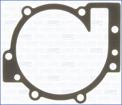 Gasket, water pump (00726600)