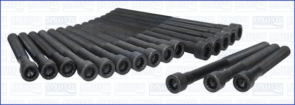 Cylinder Head Bolt Set (81005400)