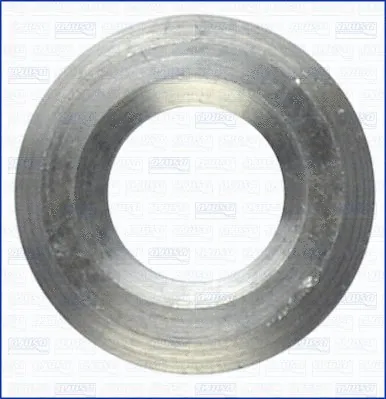 Seal Ring, nozzle holder (01037900)