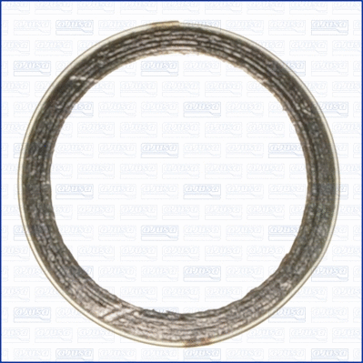Seal Ring, exhaust pipe (19002200)