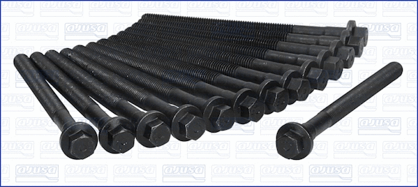 Cylinder Head Bolt Set (81022400)