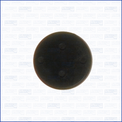Locking Cover, camshaft (01114000)