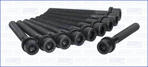 Cylinder Head Bolt Set (81000300)