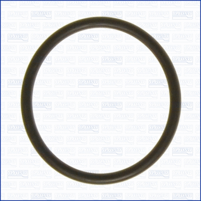 Seal, thermostat (16072700)