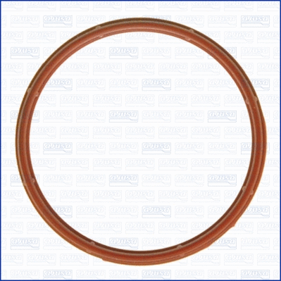 Gasket, intake manifold housing (01062900)