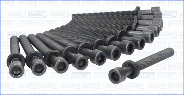 Cylinder Head Bolt Set (81003600)