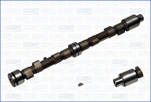 Camshaft (93013700)