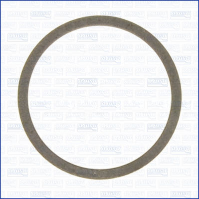 Gasket, charger (01207600)