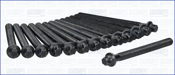 Cylinder Head Bolt Set (81024300)