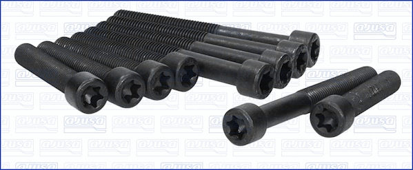 Cylinder Head Bolt Set (81010900)
