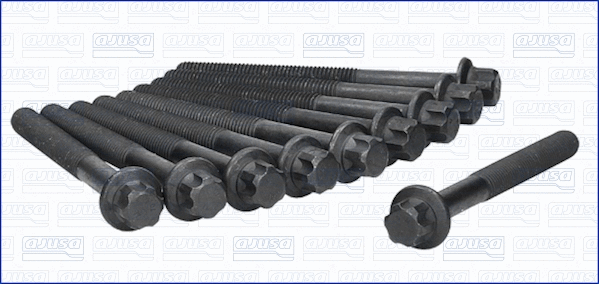 Cylinder Head Bolt Set (81043000)