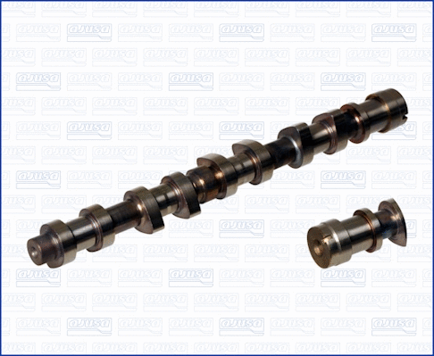 Camshaft (93123500)