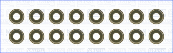Seal Set, valve stem (57058000)