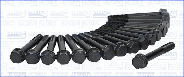 Cylinder Head Bolt Set (81002400)