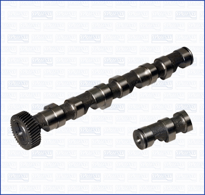 Camshaft (93157400)