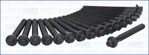 Cylinder Head Bolt Set (81040300)