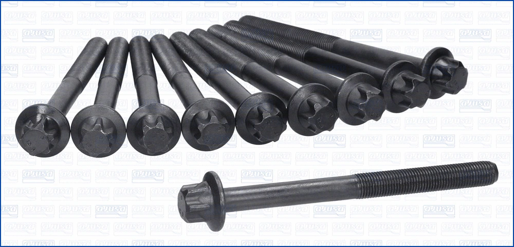 Cylinder Head Bolt Set (81067100)