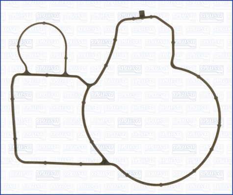 Gasket, water pump (01216400)