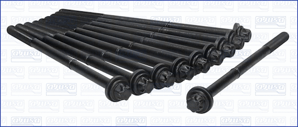Cylinder Head Bolt Set (81020100)