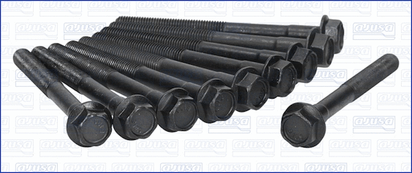 Cylinder Head Bolt Set (81008300)