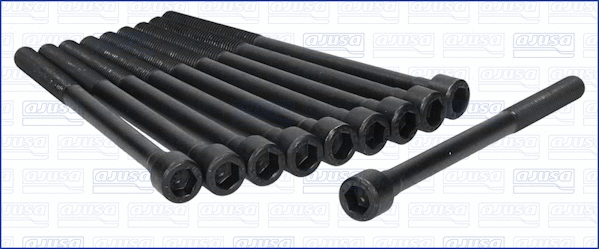 Cylinder Head Bolt Set (81030800)