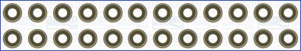 Seal Set, valve stem (57020400)