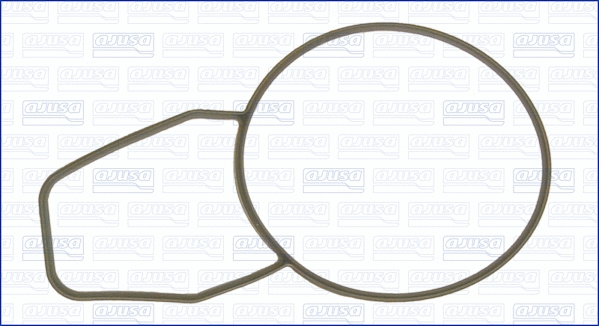 Seal, thermostat (00866400)