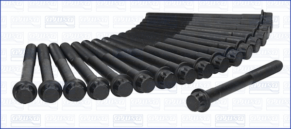 Cylinder Head Bolt Set (81016400)