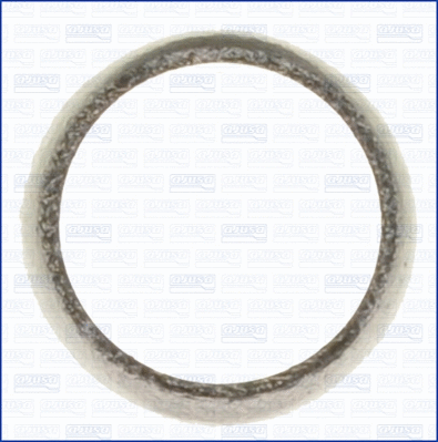 Gasket, exhaust pipe (01026400)