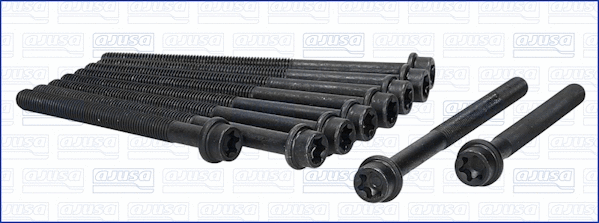 Cylinder Head Bolt Set (81025100)